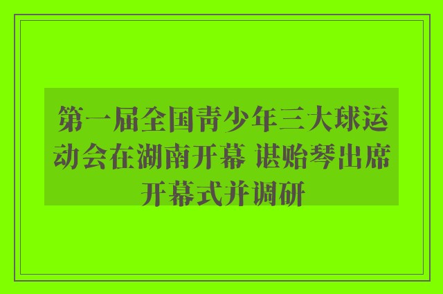 第一届全国青少年三大球运动会在湖南开幕 谌贻琴出席开幕式并调研